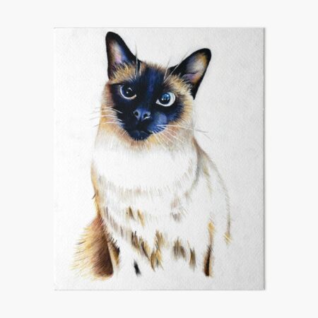 Item preview, Gato Siamês designed and sold by britis3.