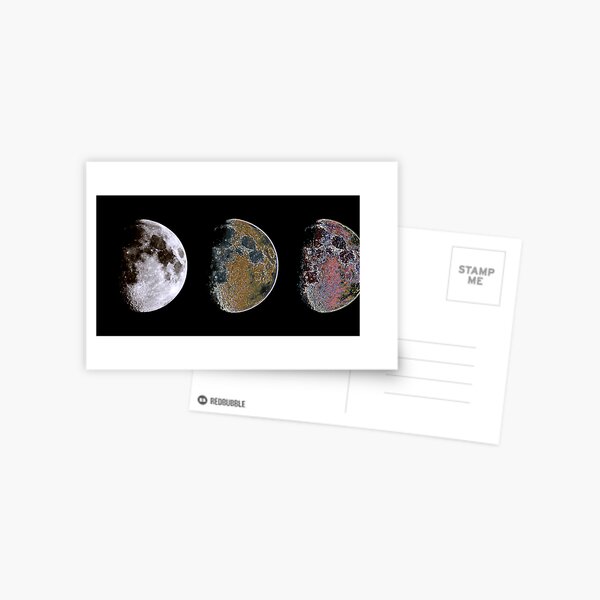 3 Phases of The Moon Postcard