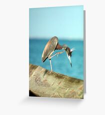 Itch! Greeting Card