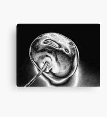 Chrome cherry Canvas Print
