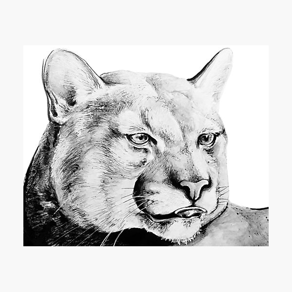 Item preview, Cougar Blep designed and sold by Amanda Richmond.