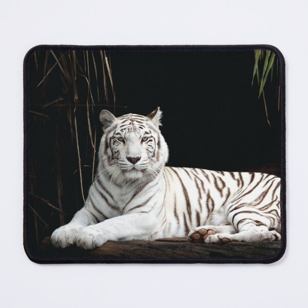 Item preview, White Siberian Tiger Photography designed and sold by BossyCatHome.