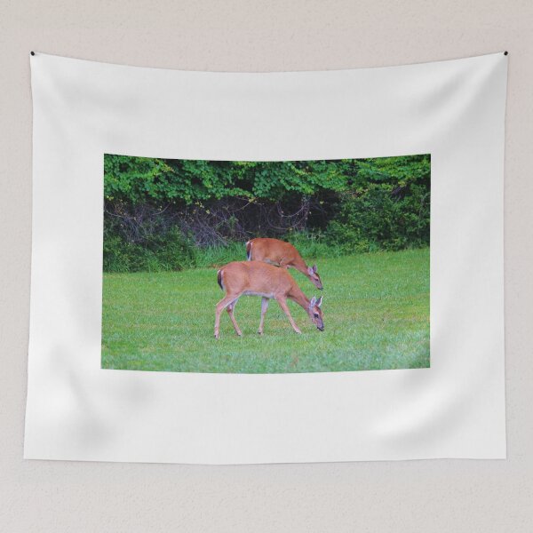 Item preview, Twins Grazing designed and sold by Cynthia48.