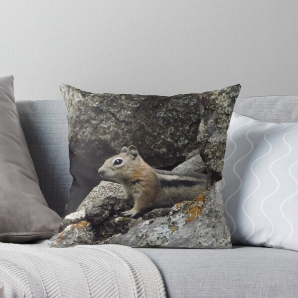 Item preview, Chipmunk, Durango, Colorado designed and sold by lenspiro.