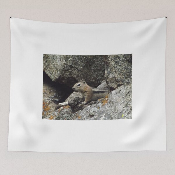 Item preview, Chipmunk, Durango, Colorado designed and sold by lenspiro.