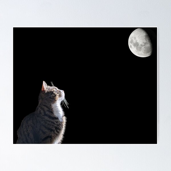 Item preview, Cat and the moon designed and sold by Pinch-Sci.