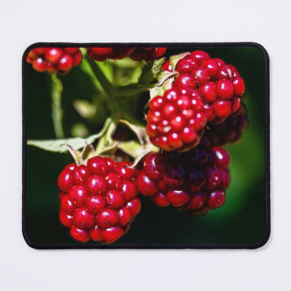 Item preview, Raspberries ready to pick.  designed and sold by TP-Designs.