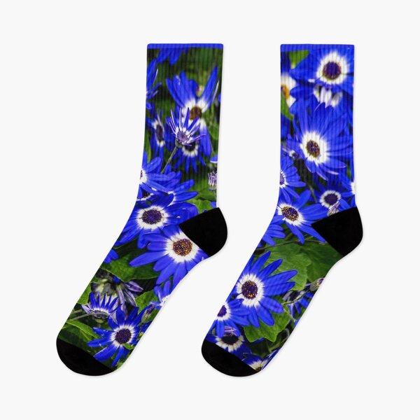 Item preview, A field of purple and white daisies designed and sold by TP-Designs.