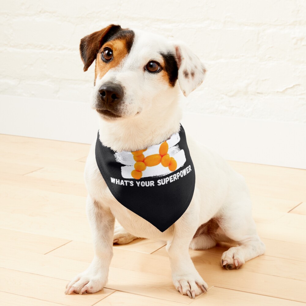 https://ih1.redbubble.net/image.4071506130.1653/ur,pet_bandana_small_primary,square,1000x1000.jpg