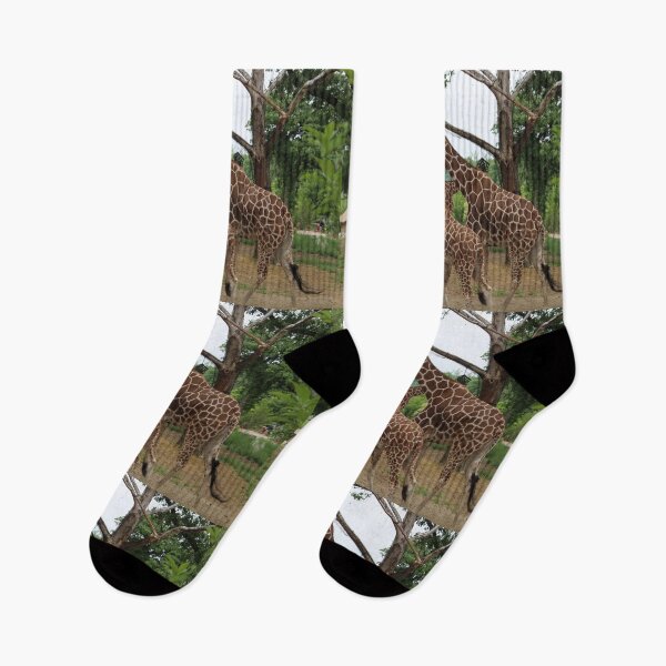 Item preview, Nature Giraffes - Henry Doorly Zoo in Nebraska designed and sold by Lucidesigns.