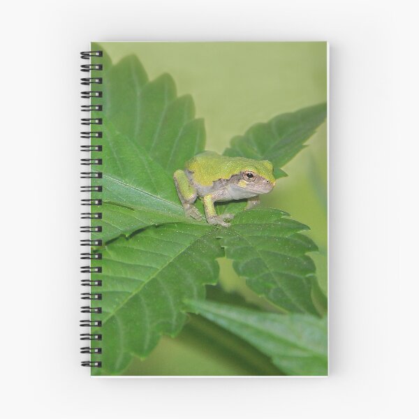 Item preview, Cute Little Tree Frog designed and sold by vette.