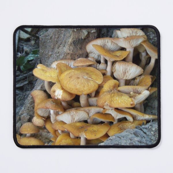 Item preview, Mushrooms Galore  designed and sold by TheTealLeopard.