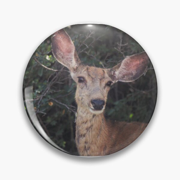 Item preview, Cute Deer designed and sold by Backyardtrail.