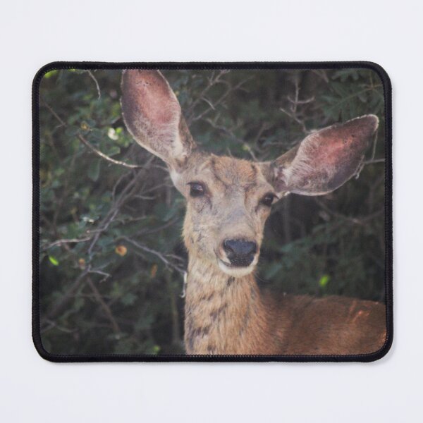 Item preview, Cute Deer designed and sold by Backyardtrail.