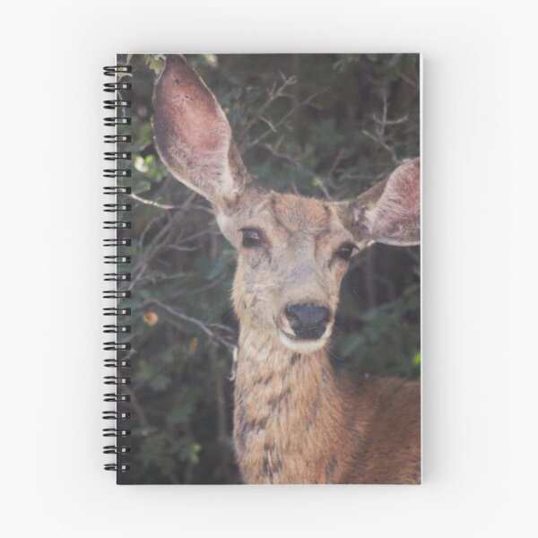 Item preview, Cute Deer designed and sold by Backyardtrail.