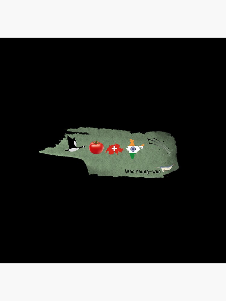 "Extraordinary Attorney Woo Introduction greeting palindrome Korean