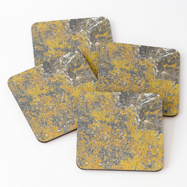 Item preview, Yellow Lichen on Rocks designed and sold by Sinemathk.