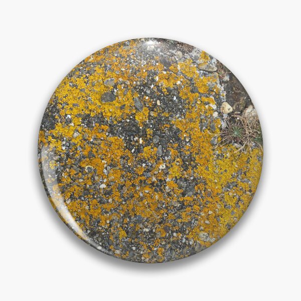 Item preview, Liquen amarillo sobre rocas designed and sold by Sinemathk.
