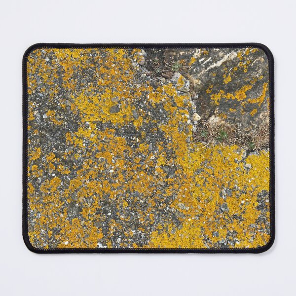 Item preview, Yellow Lichen on Rocks designed and sold by Sinemathk.