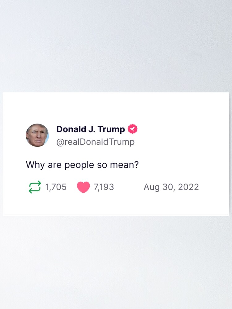  why are people so mean poster for sale by scohoe redbubble