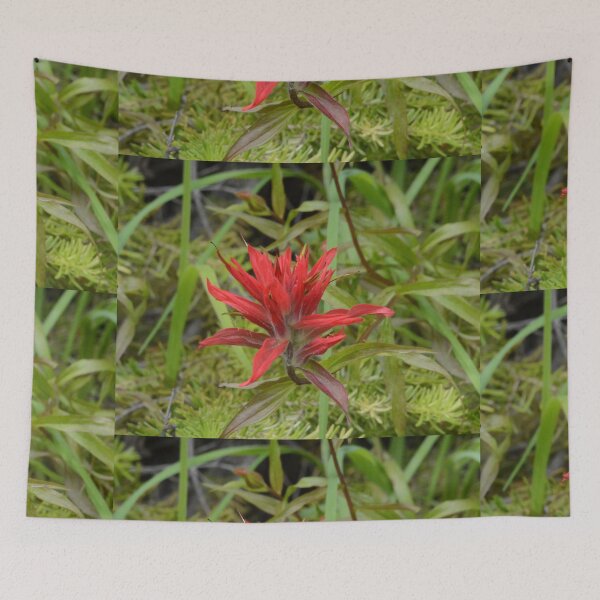 Item preview, Wildflowers of Montana- Indian Paintbrush designed and sold by Whisperingpeaks.
