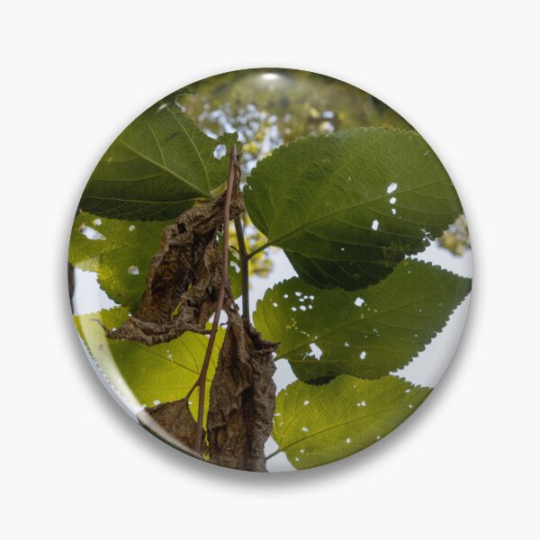 Item preview, Gorgeous Leaves designed and sold by Carly-Chapman.