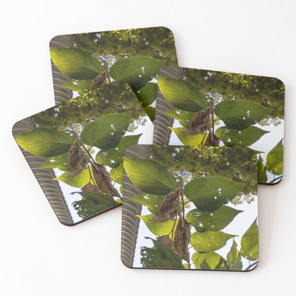 Item preview, Gorgeous Leaves designed and sold by Carly-Chapman.