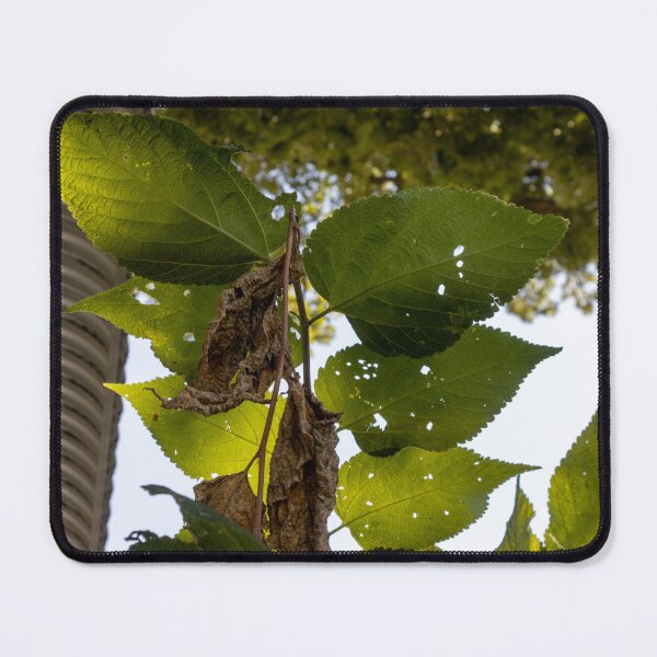 Item preview, Gorgeous Leaves designed and sold by Carly-Chapman.