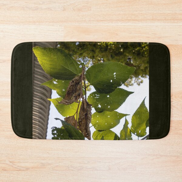 Item preview, Gorgeous Leaves designed and sold by Carly-Chapman.