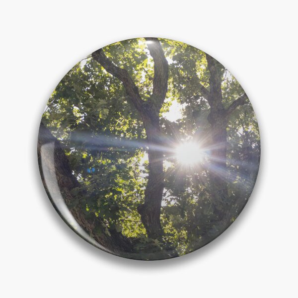 Item preview, Sun Through Trees designed and sold by Carly-Chapman.
