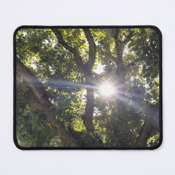Item preview, Sun Through Trees designed and sold by Carly-Chapman.