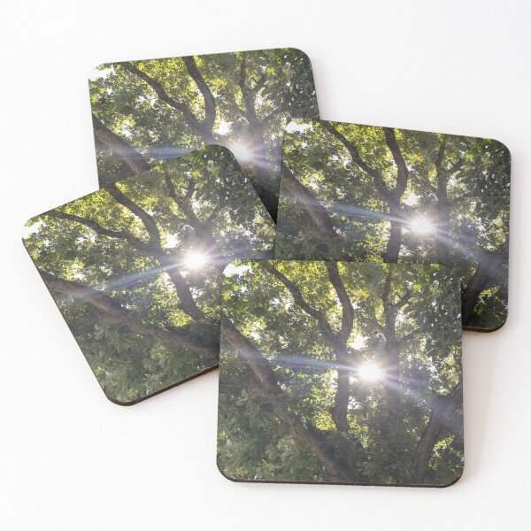 Item preview, Sun Through Trees designed and sold by Carly-Chapman.