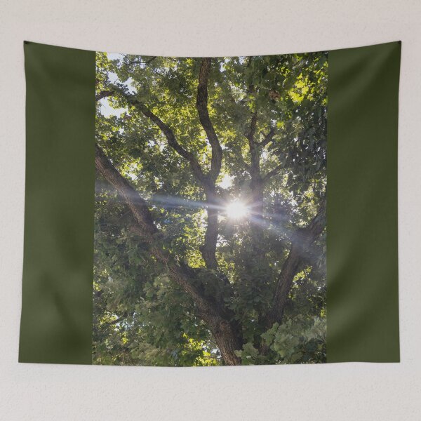 Item preview, Sun Through Trees designed and sold by Carly-Chapman.