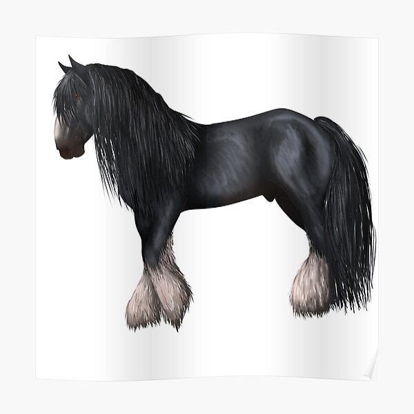 Black shire horse Poster