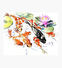 Nine KOI Photographic Print