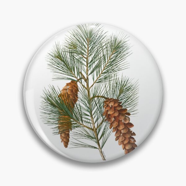 Item preview, White Pine Branch designed and sold by mariarossip.