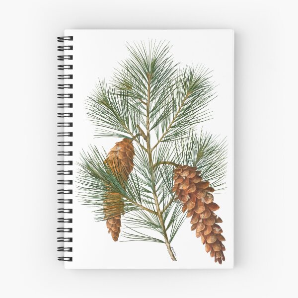 Item preview, White Pine Branch designed and sold by mariarossip.