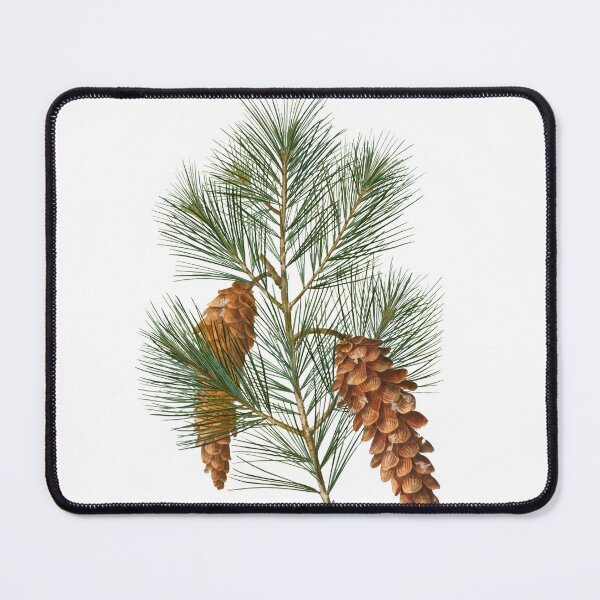 Item preview, White Pine Branch designed and sold by mariarossip.