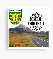 Donegal Canvas Print
