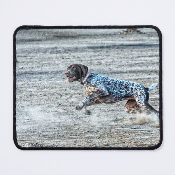 Item preview, Fetch designed and sold by MoreGoodArt.