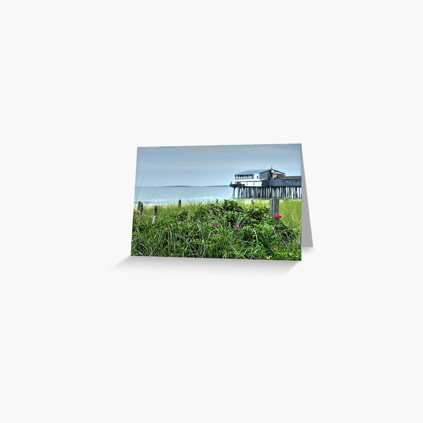 I never promised you a rose garden..... Greeting Card