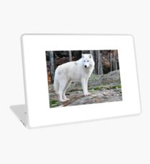 Arctic Wolf - Québèc, Canada Laptop Skin