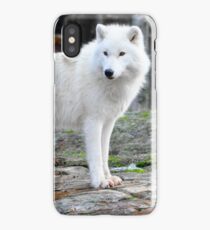 Arctic Wolf - Québèc, Canada iPhone Case