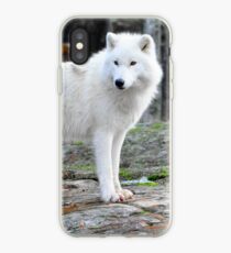 Arctic Wolf - Québèc, Canada iPhone Case