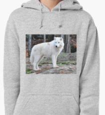 Arctic Wolf - Québèc, Canada Pullover Hoodie