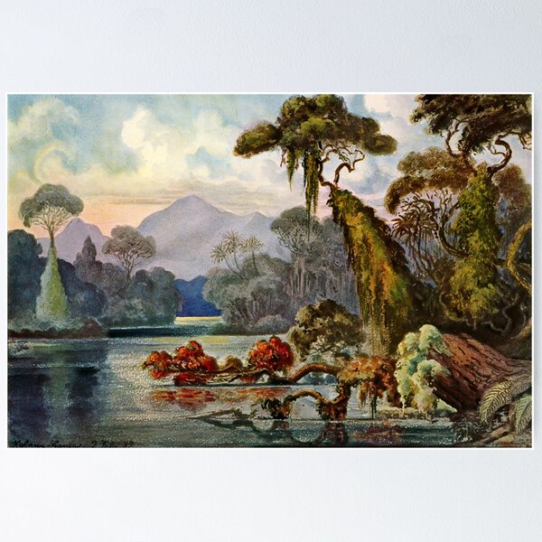 Item preview, Haeckel Ceylon Jungle River-Ernst Haeckel designed and sold by TeeARTHY.