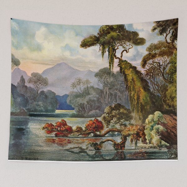 Item preview, Haeckel Ceylon Jungle River-Ernst Haeckel designed and sold by TeeARTHY.
