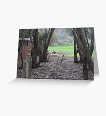 Roaming Greeting Card
