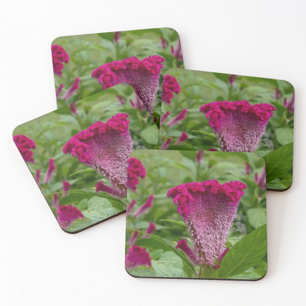 Item preview, Pink-Purple Coxcomb Flower designed and sold by SafariByMarisa.