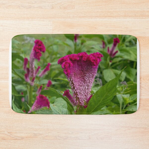Item preview, Pink-Purple Coxcomb Flower designed and sold by SafariByMarisa.